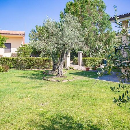 Il Giardino Degli Ulivi Acomodação com café da manhã Santa Maria Exterior foto