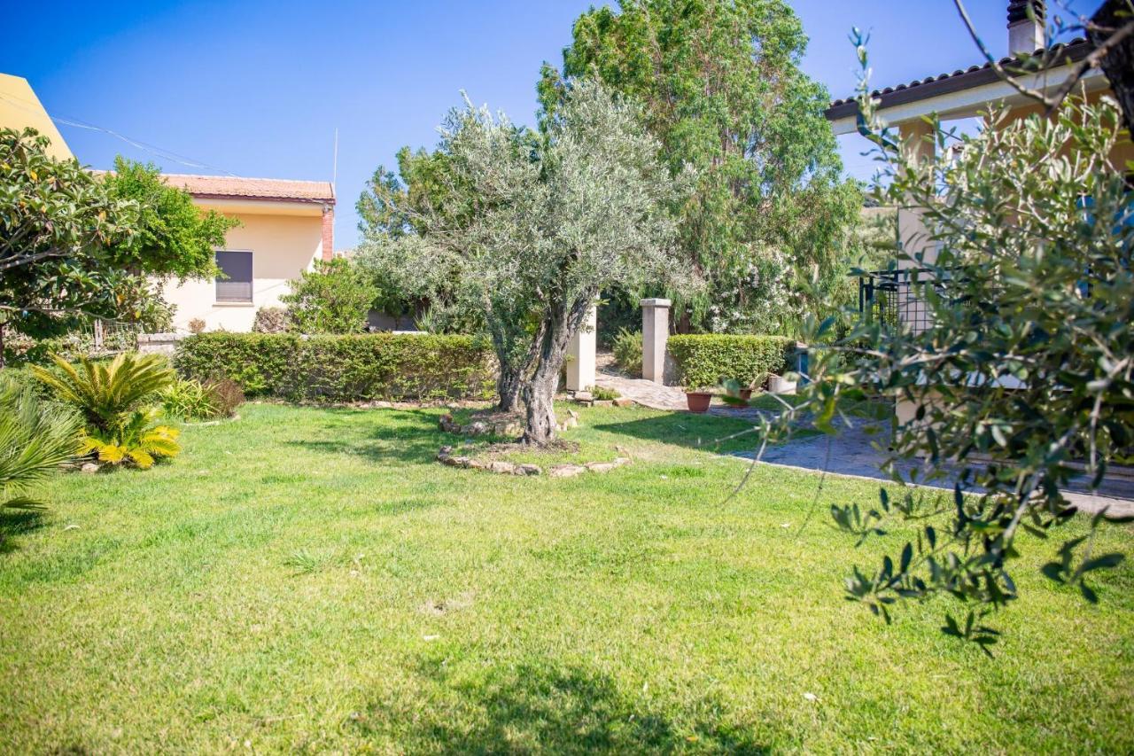 Il Giardino Degli Ulivi Acomodação com café da manhã Santa Maria Exterior foto