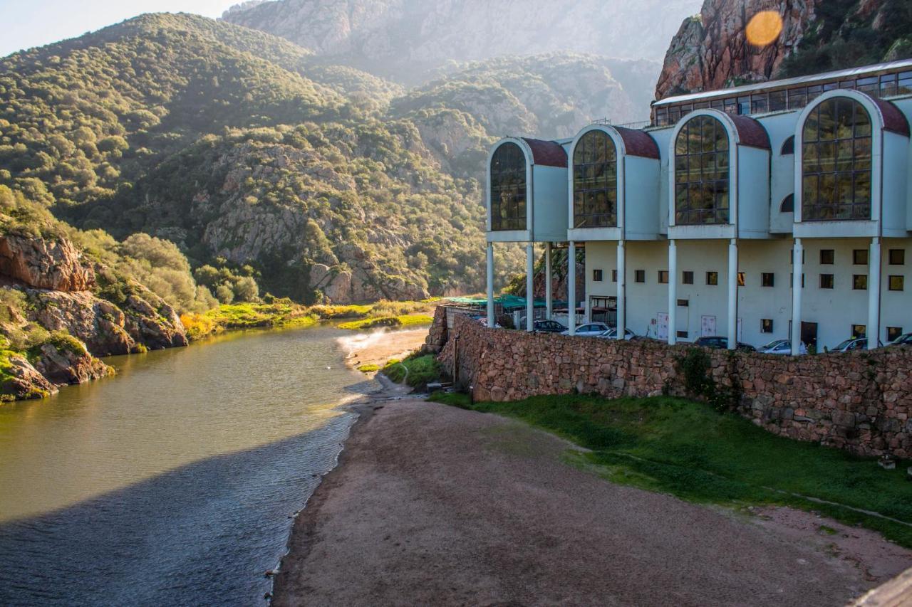 Il Giardino Degli Ulivi Acomodação com café da manhã Santa Maria Exterior foto