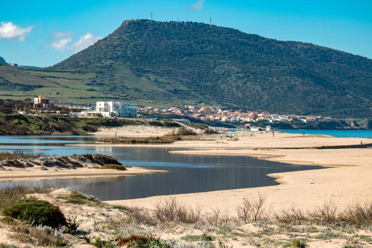 Il Giardino Degli Ulivi Acomodação com café da manhã Santa Maria Exterior foto
